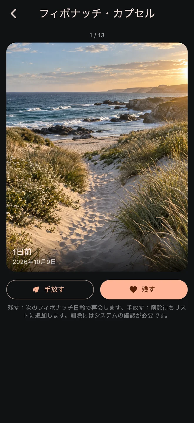 InfiniteVault のフィボナッチ・カプセル画面。思い出の写真のサンプル
